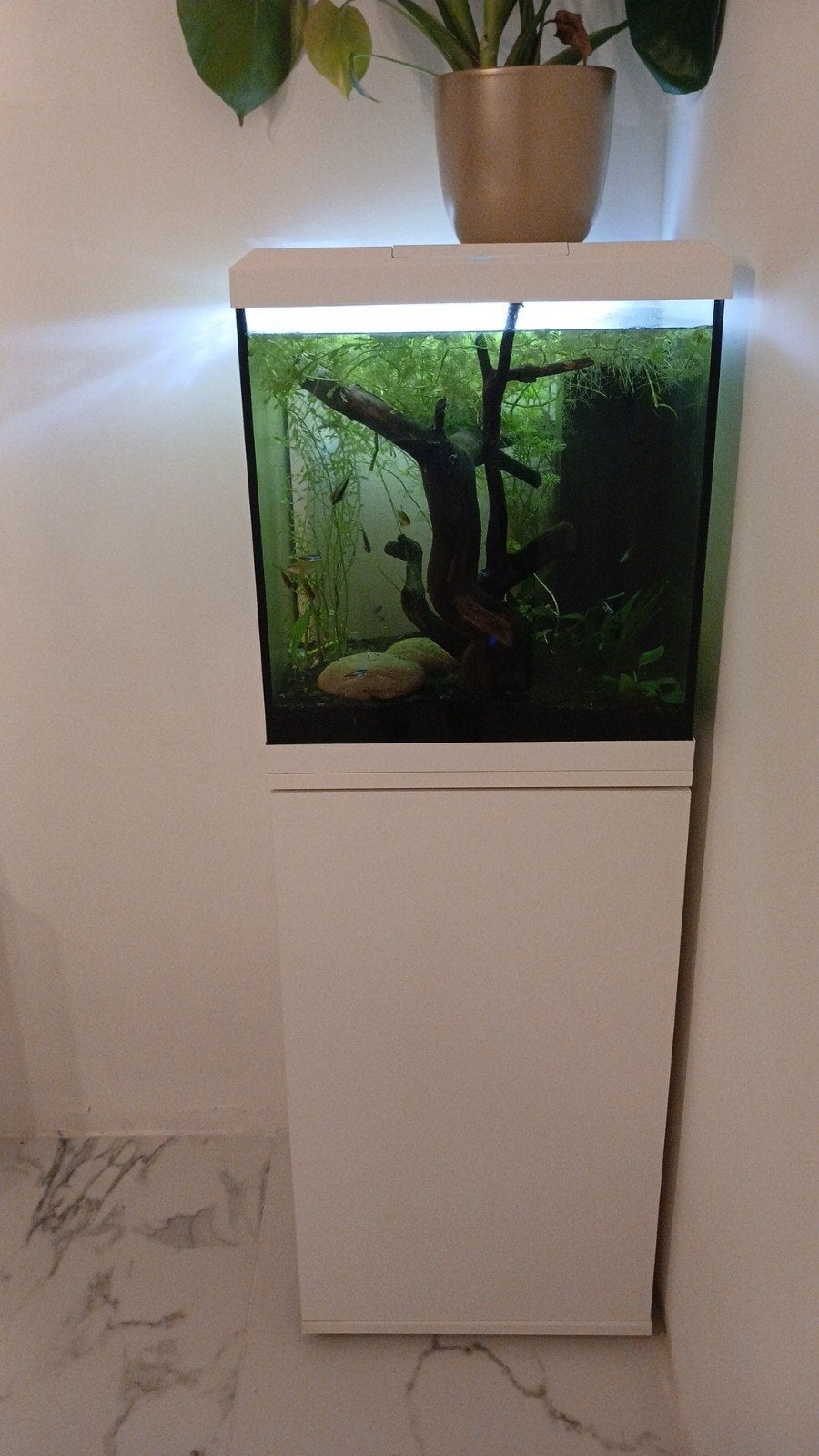 Aquarium Juwel vio cube met kast, Dieren en Toebehoren, Ophalen, Juwel