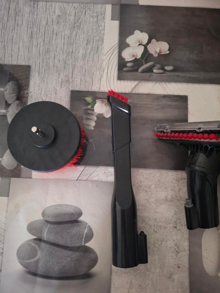 Shampouineuse BISSEL, Enlèvement