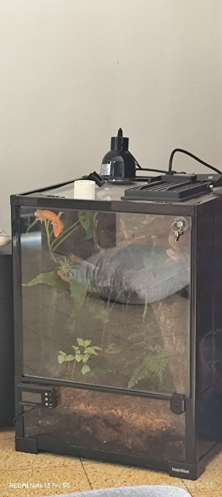 Terrarium, Animaux & Accessoires, Enlèvement ou Envoi, Comme neuf