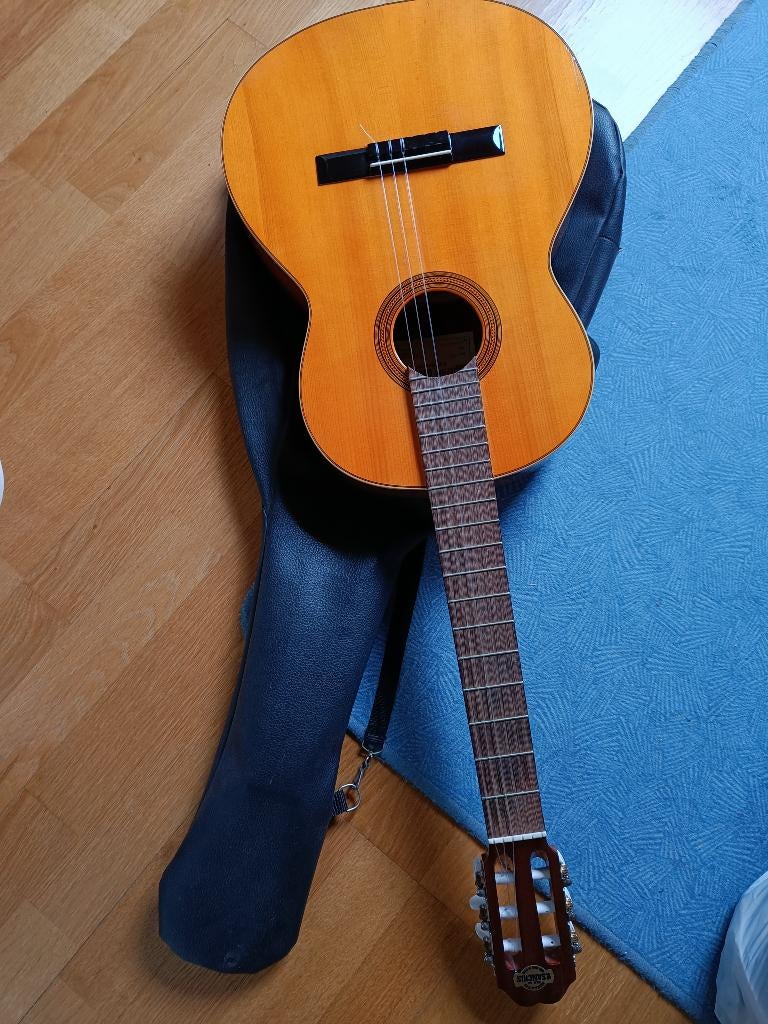 Gitaar, Ophalen, Gebruikt, Klassieke of Spaanse gitaar