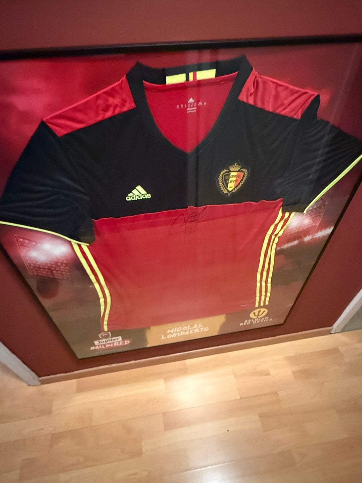 Ingekaderd shirt lombaerts tode duivels, Ophalen, Gebruikt, Shirt