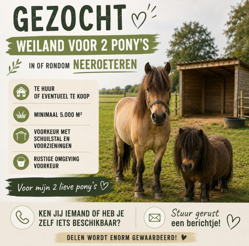 Gezocht weiland neeroeteren