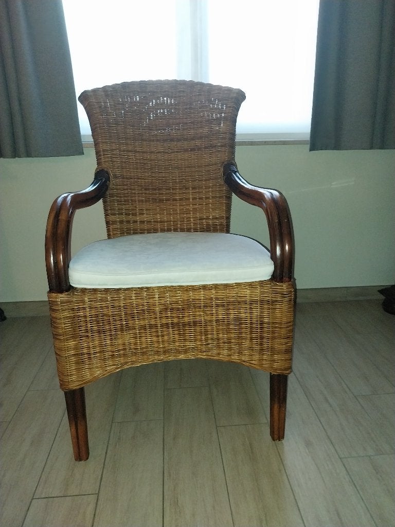 Rotan stoel met kussen, Maison & Meubles, Chaises, Osier ou Rotin, Comme neuf, Brun, Enlèvement