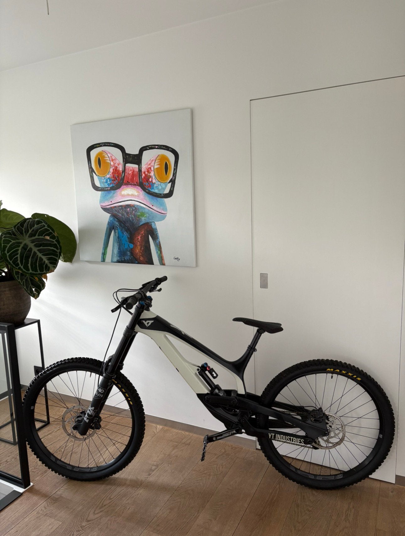 Vélo YT Tube CF Pro 2019 XL - Fox 40/X2 - Carbon HD, Vélos & Vélomoteurs, Enlèvement, Comme neuf