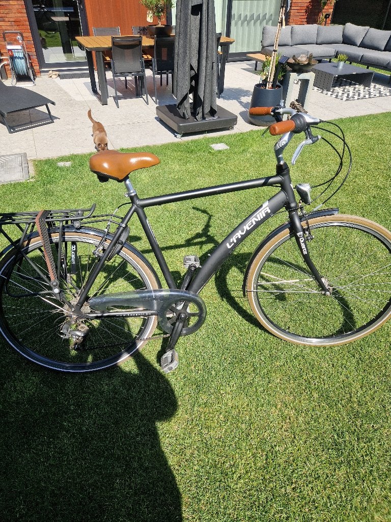 Fiets heren lavenier, Ophalen, Gebruikt, Overige merken