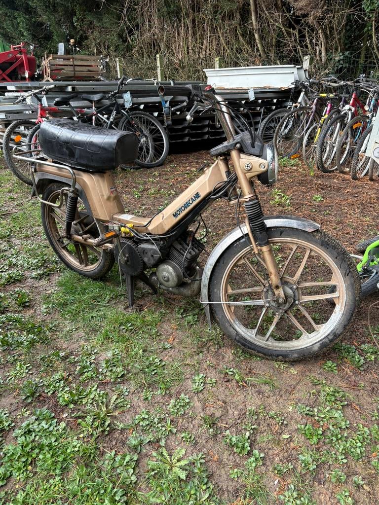 Motobecans, Enlèvement ou Envoi, Comme neuf