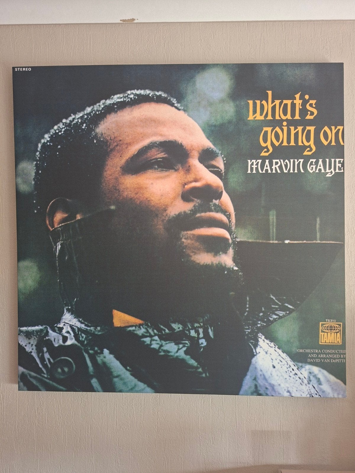 canvas marvin gaye, CD & DVD, Vinyles | R&B & Soul, Enlèvement