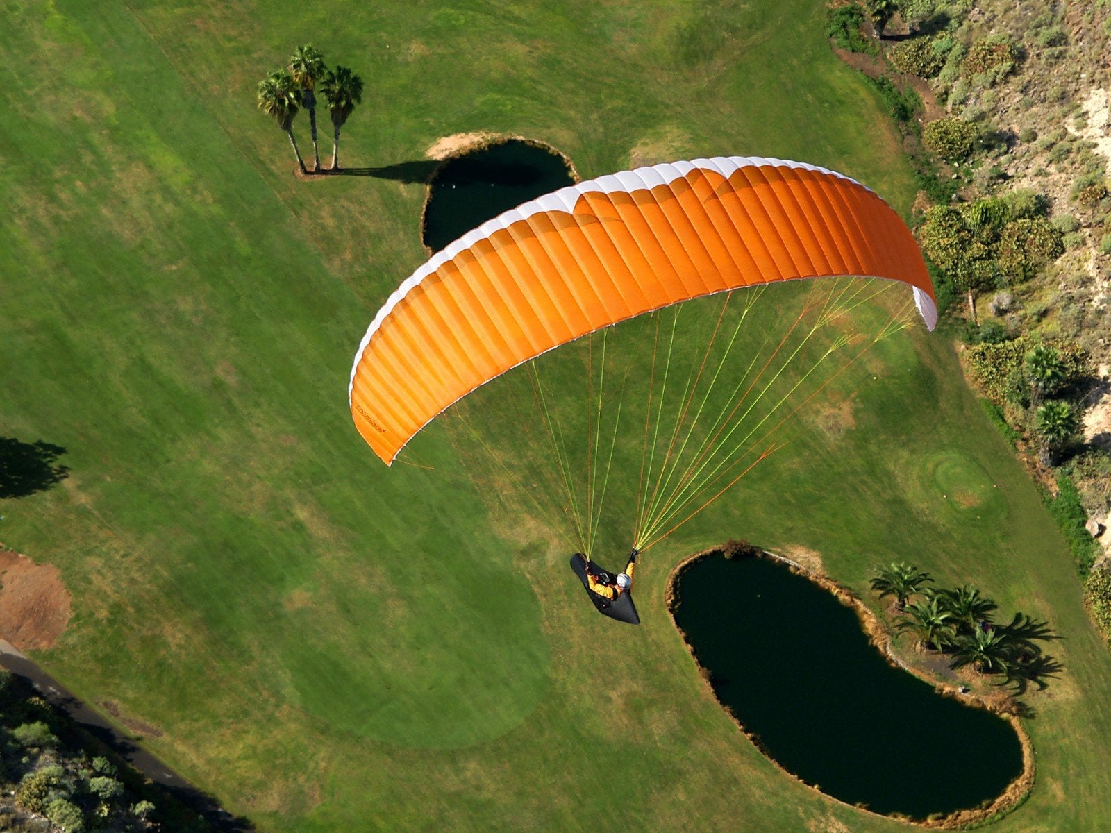 Mac Para Muse 4 Paraglider - Advance Alpha-equivalent, Sport en Fitness, Zweefvliegen en Paragliding
