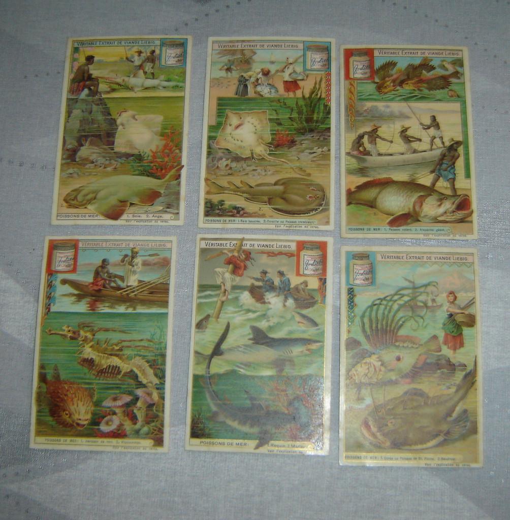 Chromos Liebig S744 avec pots, Collections, Avant 1940, Gravure, Utilisé, Autres sujets/thèmes