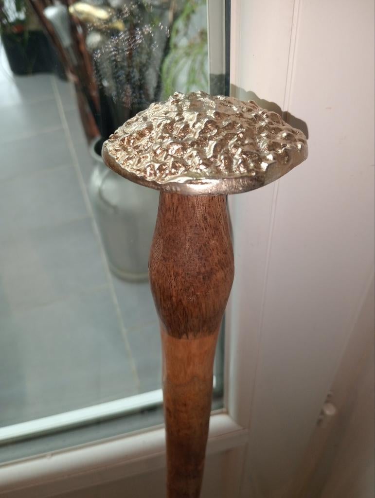 Canne champignon
