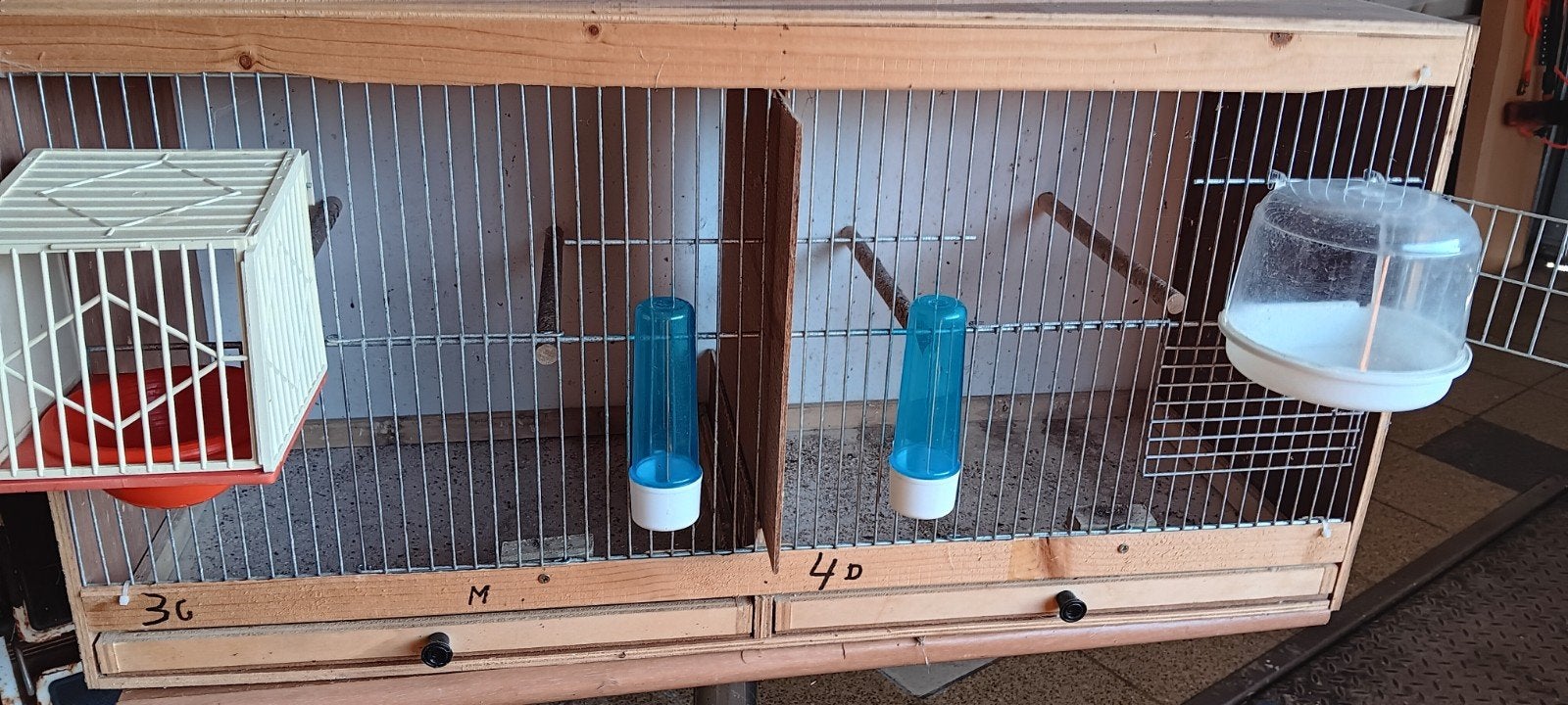 K,weekkooi, Dieren en Toebehoren, Ophalen