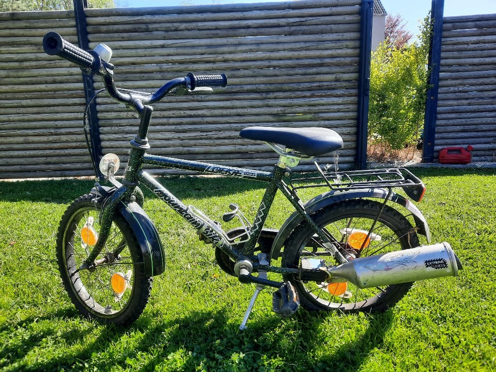 kinderfiets 16 inch, Fietsen en Brommers, Ophalen, Gebruikt, 16 tot 20 inch, Loekie
