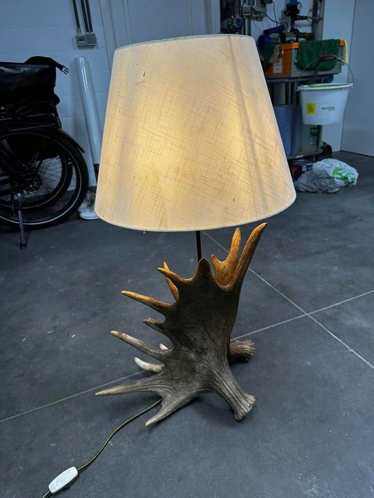 Eland gewei lamp, Enlèvement