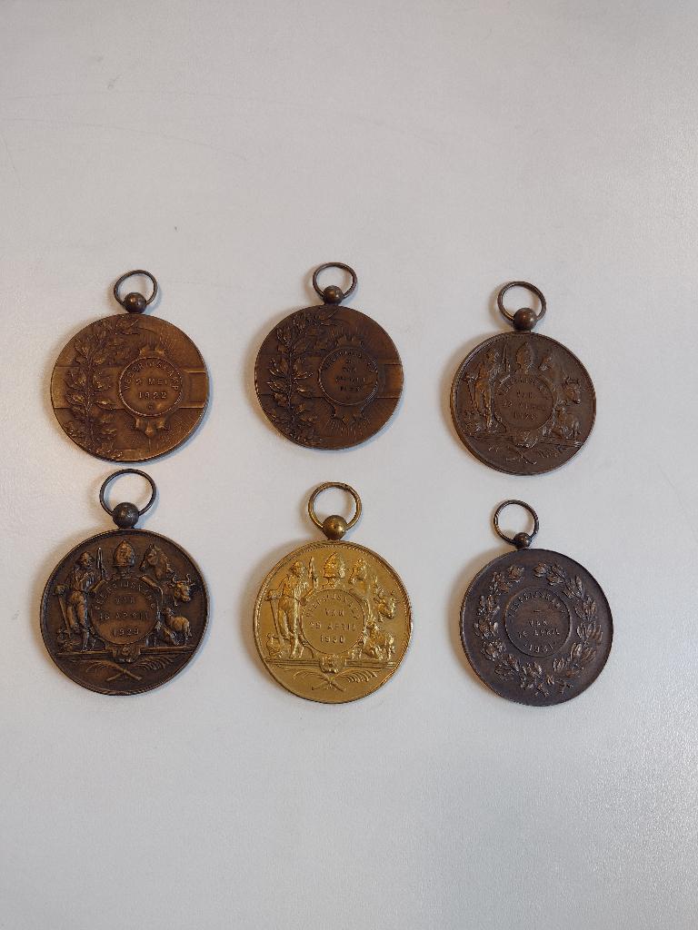 penningen veeprijskamp kemmel-ieper, Ophalen, Brons