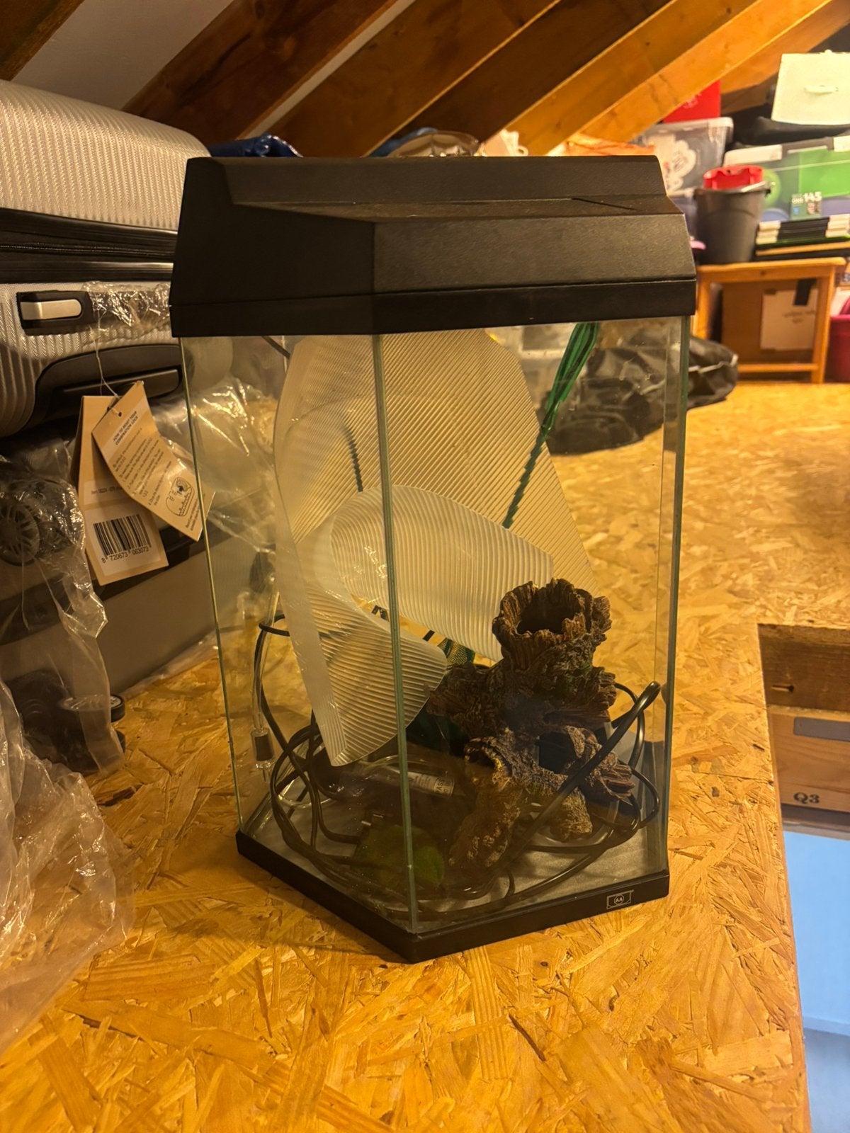 Aquarium voor vissen, Dieren en Toebehoren, Ophalen, Zo goed als nieuw