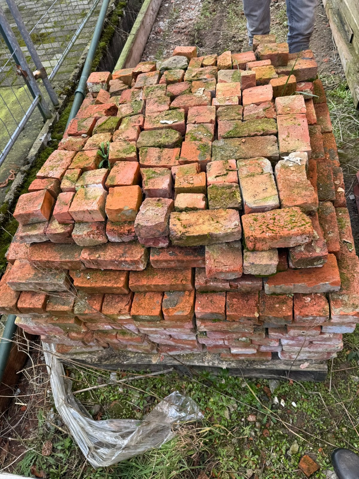 Baksteen Oude beerse, klampsteen, Doe-het-zelf en Bouw, Ophalen, Gebruikt, Bakstenen