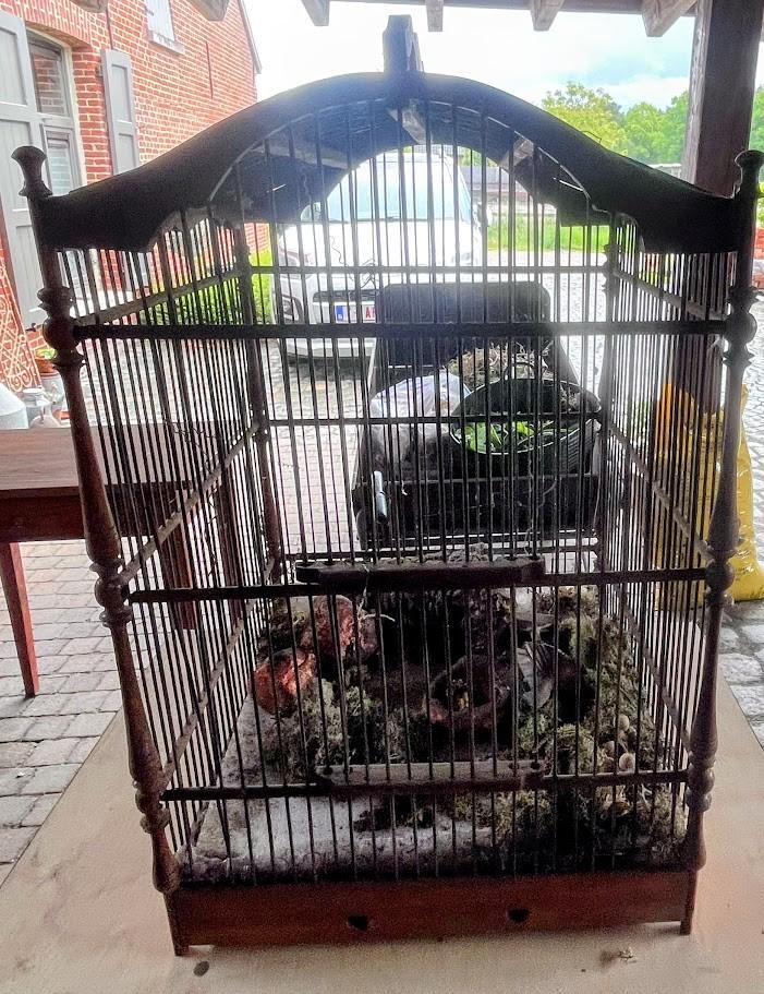 Vogelkooi, Enlèvement, Utilisé, Bois, Cage à oiseaux