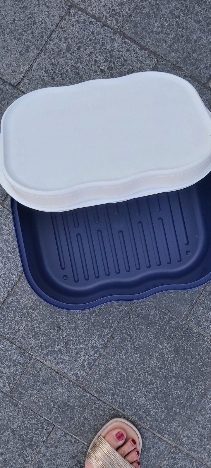 Brood bewaardoos tupperware, Ophalen, Blauw