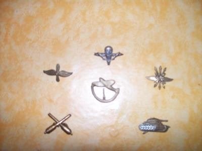 MILITARIA, Enlèvement ou Envoi, Armée de terre, Emblème ou Badge