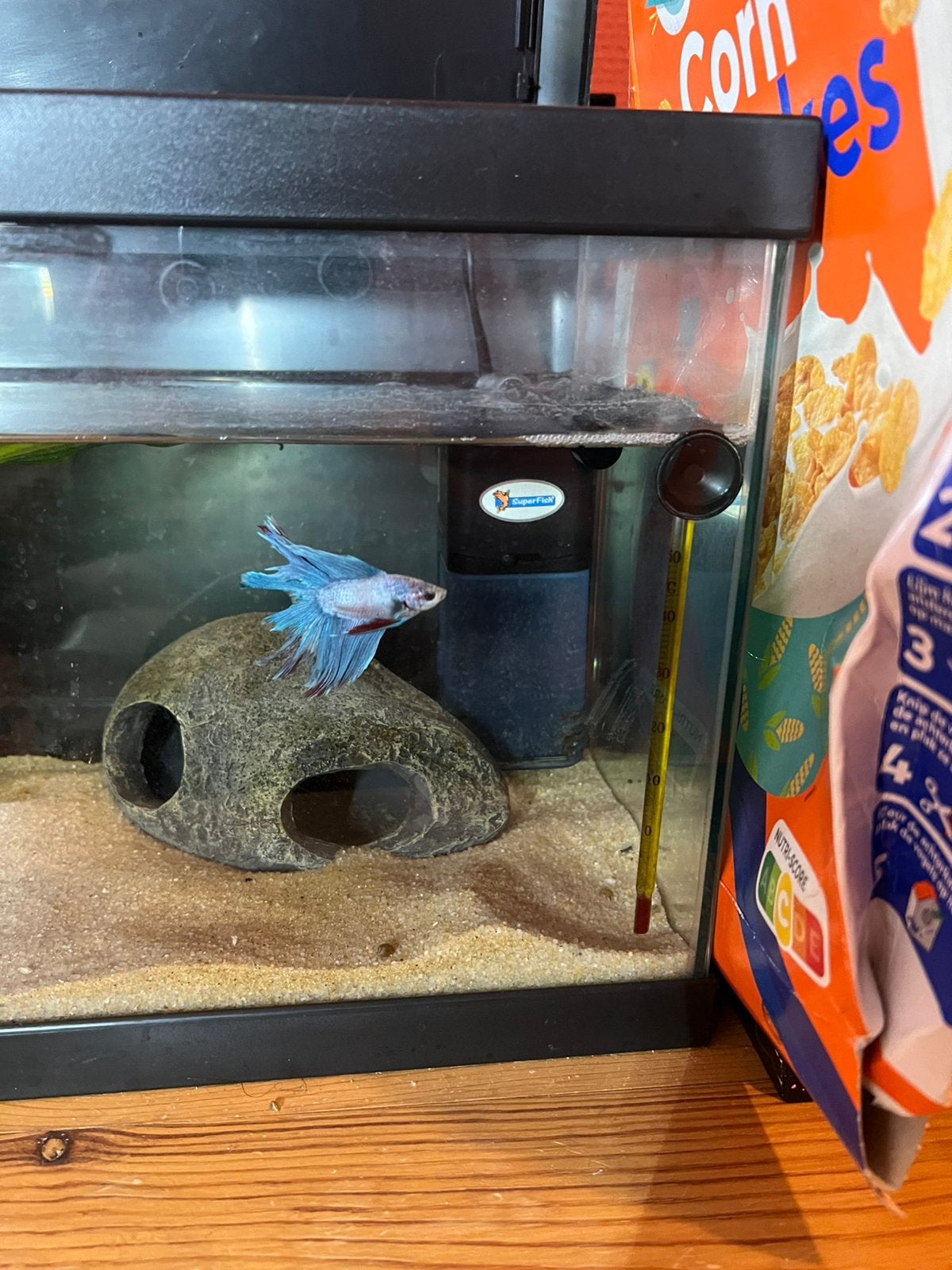 Betta vis, Ophalen, Zo goed als nieuw, Overige typen