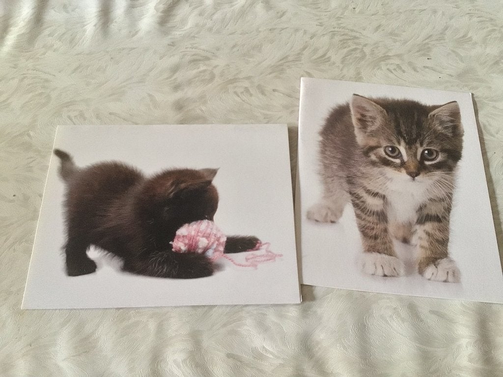2 poezen - katten postkaarten ongelopen, Verzamelen, Postkaarten | België, Ophalen of Verzenden