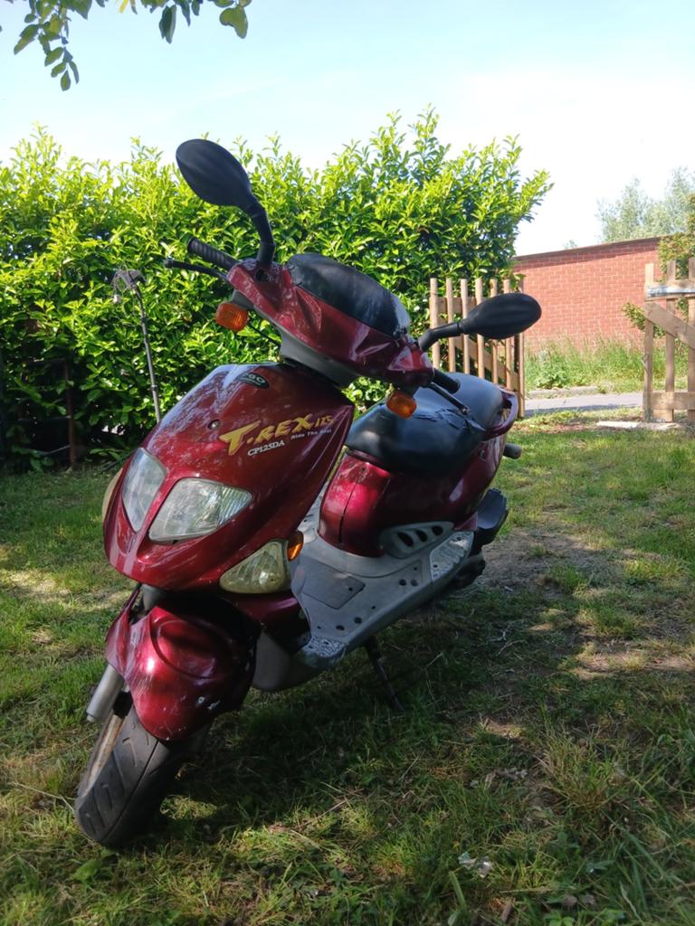Motorscooter PGO  T-Rex125, Motoren, Motoren | Overige merken, Particulier