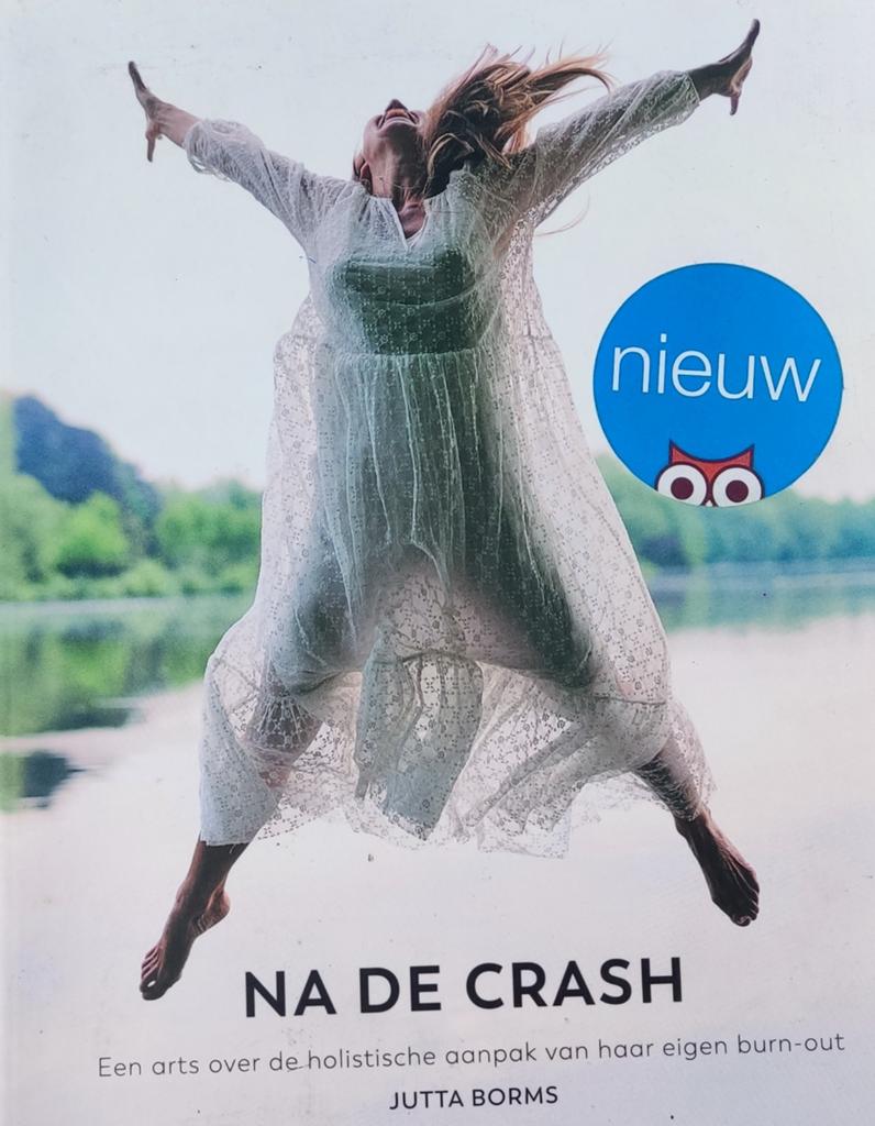 Jutta Borms - Na de crash, Boeken, Ophalen of Verzenden, Jutta Borms