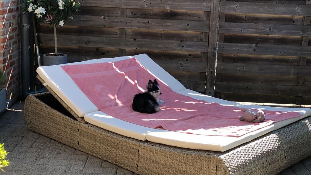 Dubbel zonnebed in rotan, Tuin en Terras, Ligbedden, Ophalen, Gebruikt, Rotan