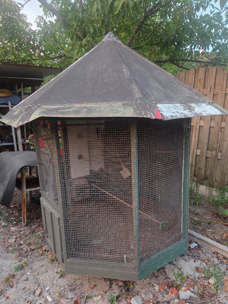 Grote kanatie voliere, Dieren en Toebehoren, Vogels | Hokken en Kooien, Ophalen, Gebruikt, Hout