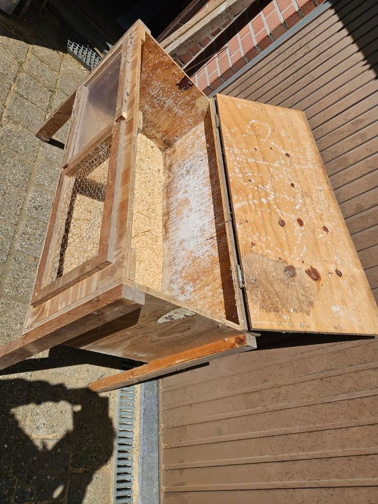 La cage à lapins est un poulailler pour cobayes, Enlèvement, Niche, Cobaye