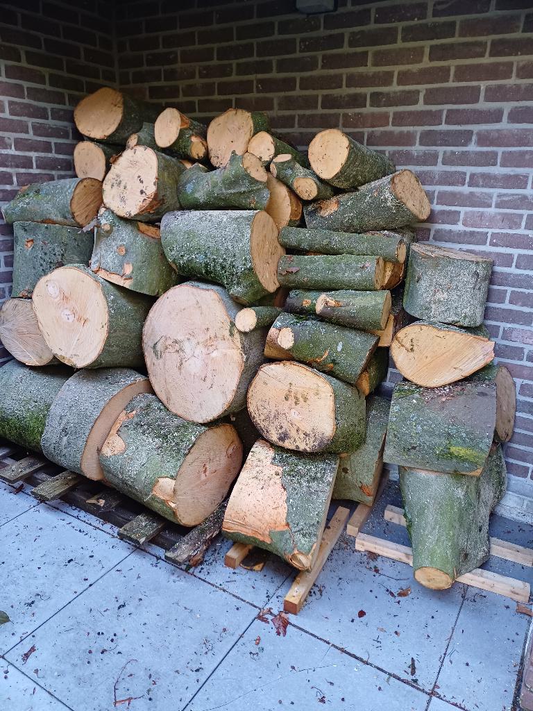 Vers gezaagd beukenhout, Moins de 3 m³, Enlèvement, Hêtre, Troncs d'arbres