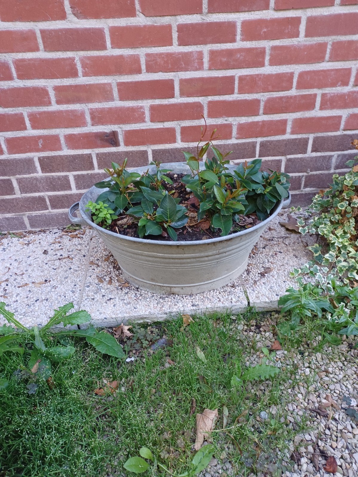 zinken kuipje, Tuin en Terras, Ophalen