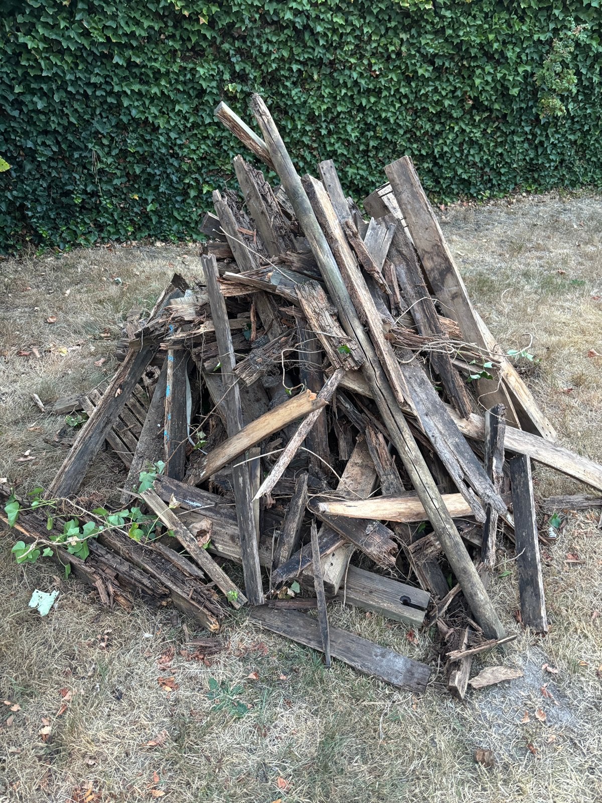 Brandhout grats, Moins de 3 m³, Enlèvement, Autres essences de bois