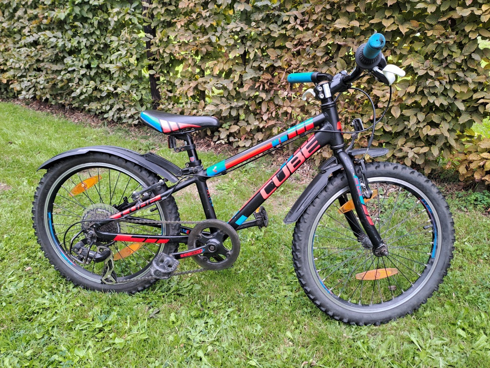 Vélo VTT CUBE 20 pouces, Enlèvement