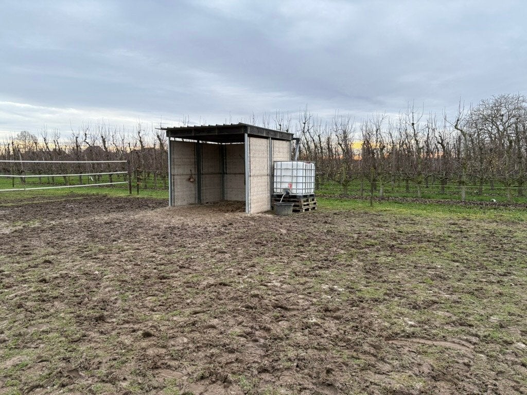 Abri 3X3 mètres, Animaux & Accessoires, Mise à l'étable, 2 ou 3 chevaux ou poneys