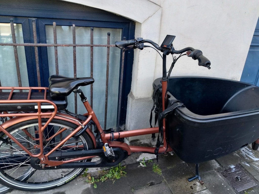 Dolly Family bakfiets te koop, Autres marques, Enlèvement, Utilisé, 2 enfants