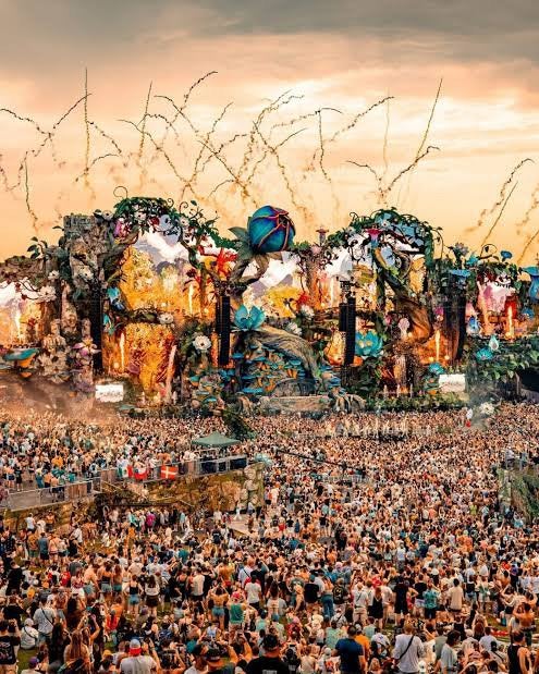 Tomorrowland w1- Full madness pass, Tickets en Kaartjes, Eén persoon, Meerdaags