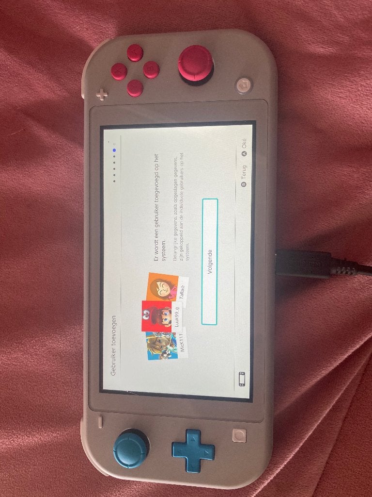 Nintendo Switch Lite Zacian and Zamazenta Edition, Games en Spelcomputers, Spelcomputers | Nintendo Switch Lite, Ophalen, Grijs