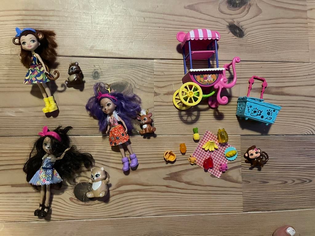 Enchantimals in correcte staat, Ophalen of Verzenden, Zo goed als nieuw