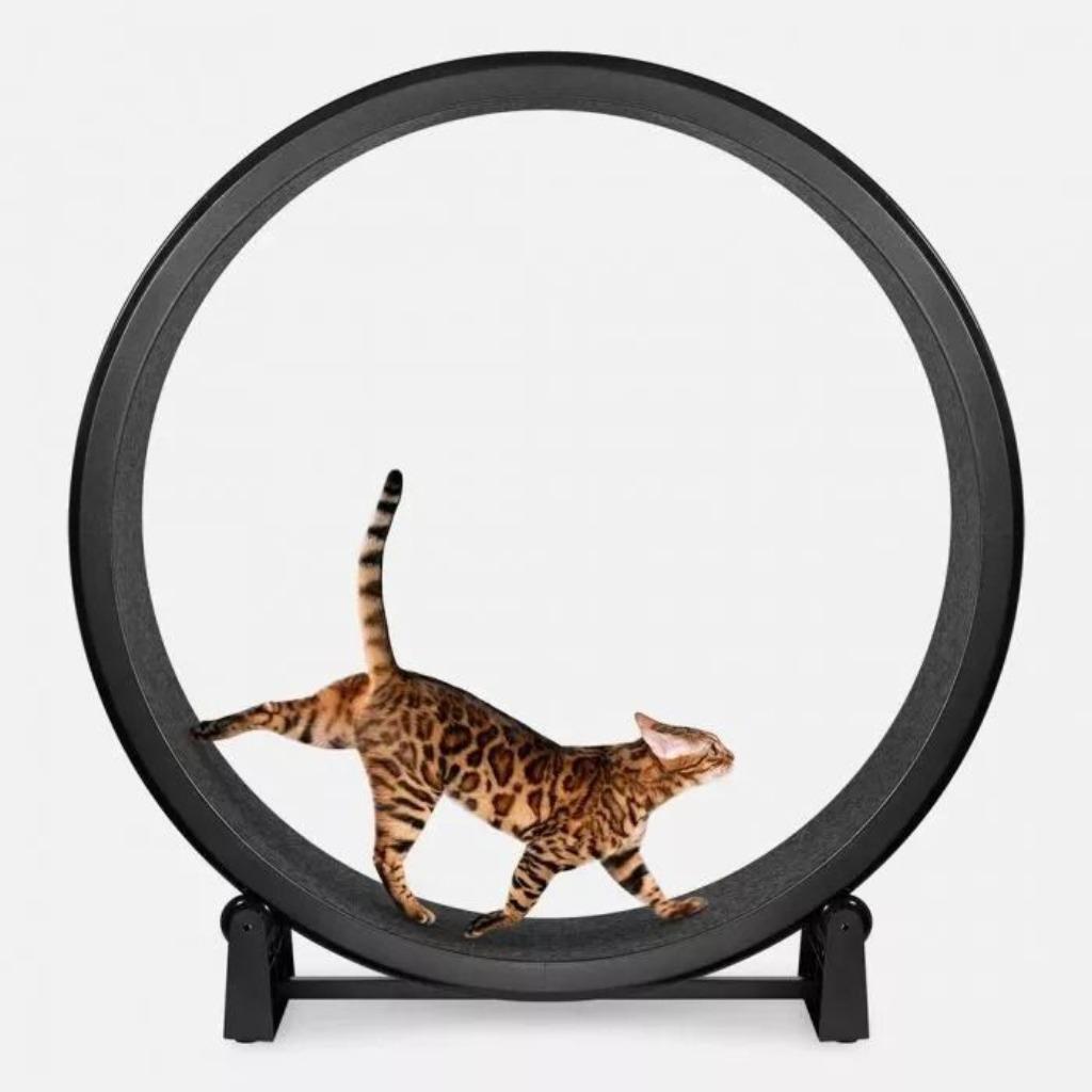 Roue de course fantastique pour chat 122 cm, Animaux & Accessoires, Jouets pour chats, Comme neuf, Autres jouets, Enlèvement