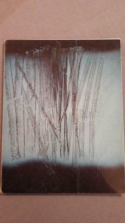 Hans Hartung Paintings of the 60's 80pag 65ill., Ophalen of Verzenden, Gelezen
