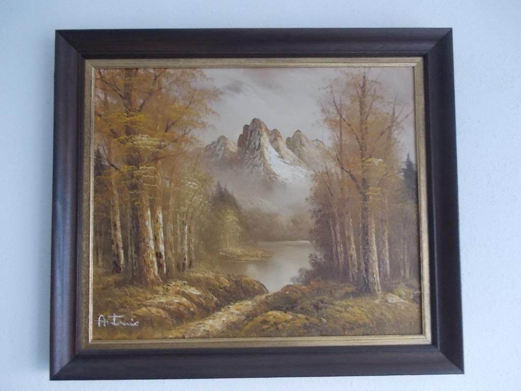 mooi schilderij berglandschap, Ophalen