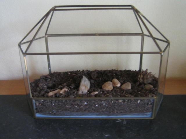 mini serre in glas voor bv cactussen of vetplanten, Ophalen, Overige materialen, Gebruikt, Minder dan 40 cm