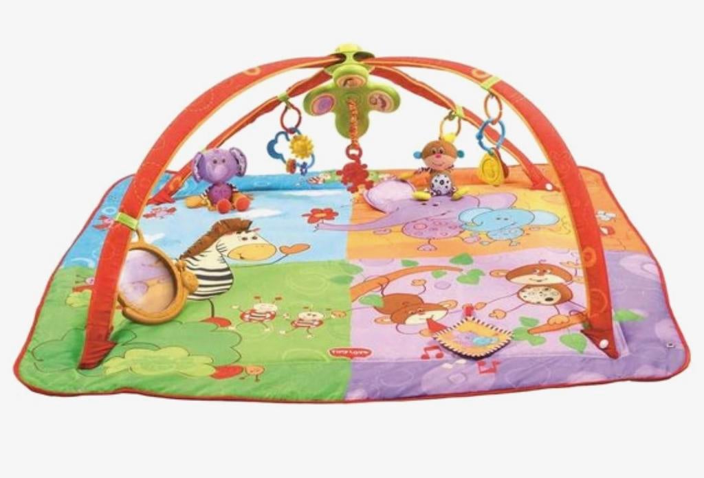 Gymini schuif en speel speelmat Tiny Love, Kinderen en Baby's, Ophalen