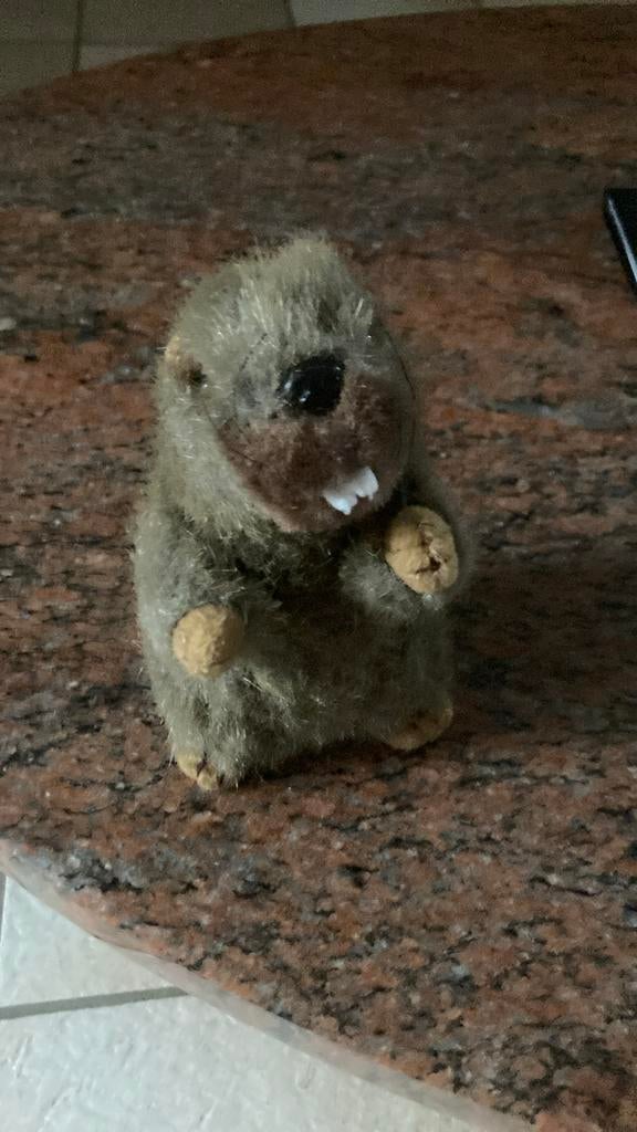 Petite marmotte, Comme neuf
