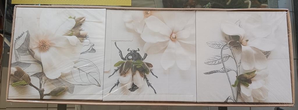 Tableaux Ikea Klövsjö, Enlèvement