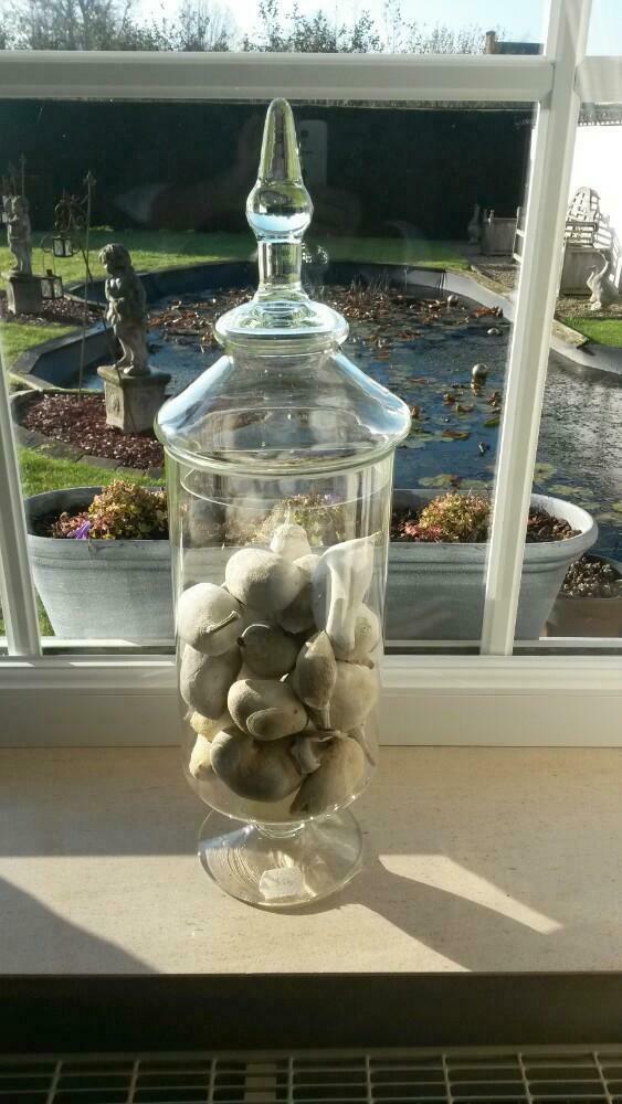 Mooie glas met deksel NIEUW, Antiek en Kunst, Ophalen