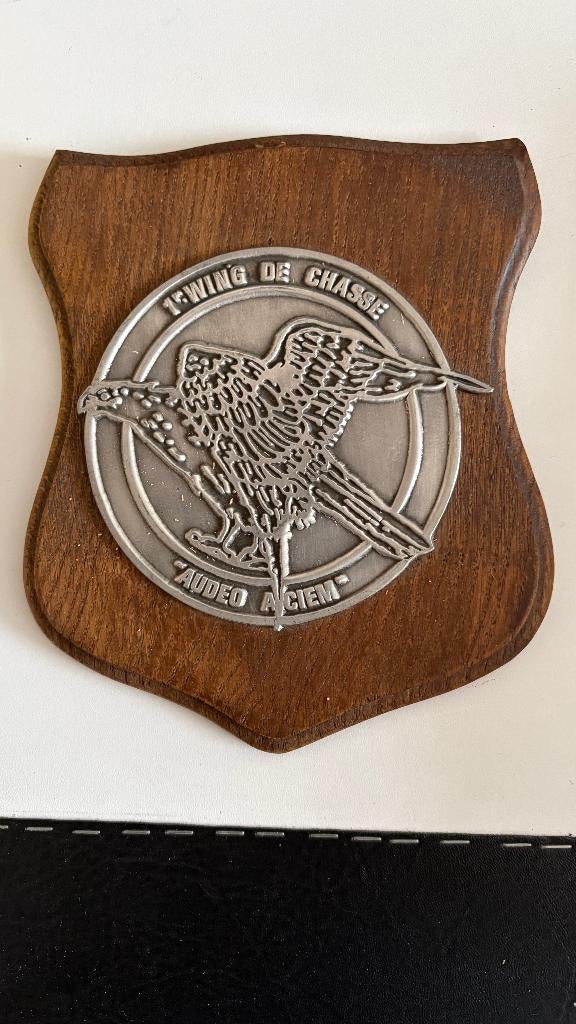 1ère Escadre de Chasse - Audeo Aciem (jardin), Enlèvement ou Envoi, Armée de l'air, Emblème ou Badge