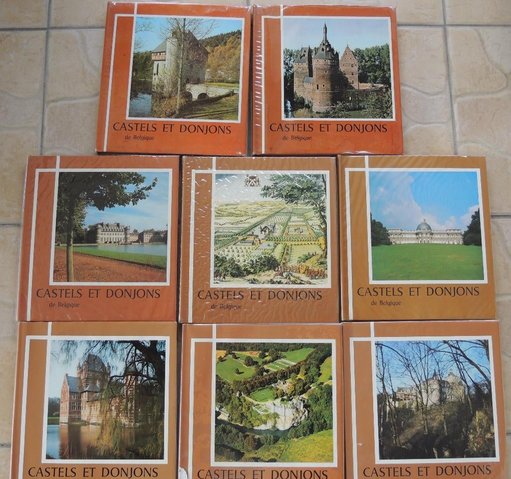 Livres à 60 € - Castels et donjons de Belgique - 8 tomes, Livres, Enlèvement