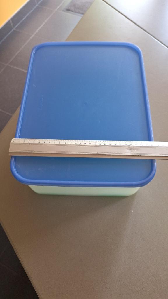 Tupperware XXL bewaardoos met rooster voor bv wafeltjes, Ophalen of Verzenden, Gebruikt